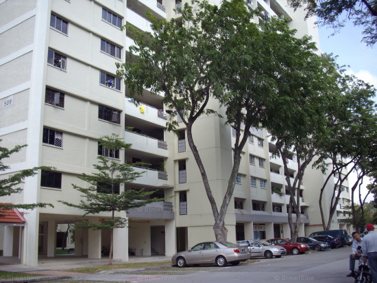 Blk 509 West Coast Vista (Clementi), HDB 3 Rooms #367922